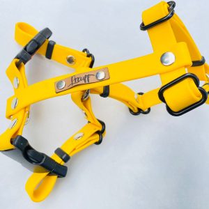 Arnés H Impermeable Biothane